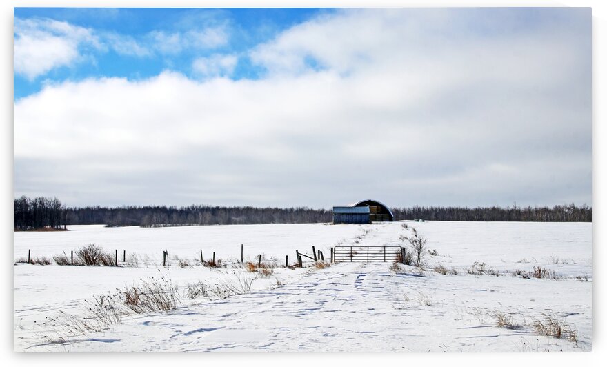 Hay Shelter by Deb Oppermann