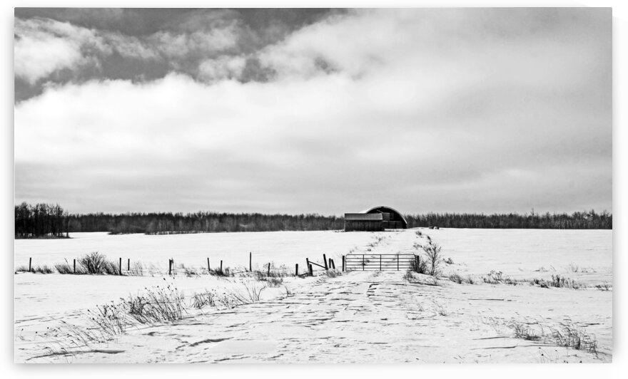 Hay Shelter Black And White by Deb Oppermann