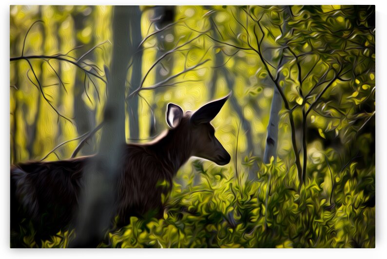 A New World by Stephen Taylor