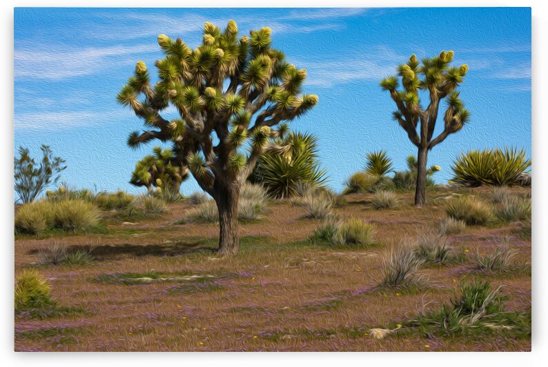 Desert Eruption by Stephen Taylor