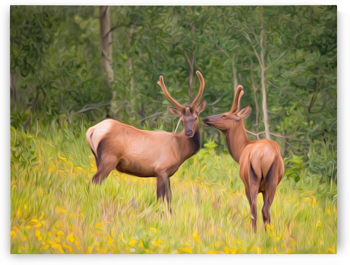 Through the Grapevine by Stephen Taylor