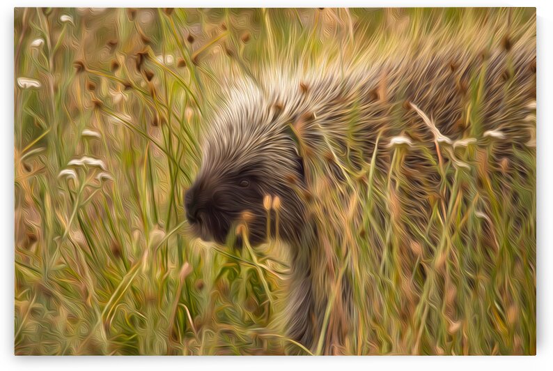 7I2A4131 by Stephen Taylor