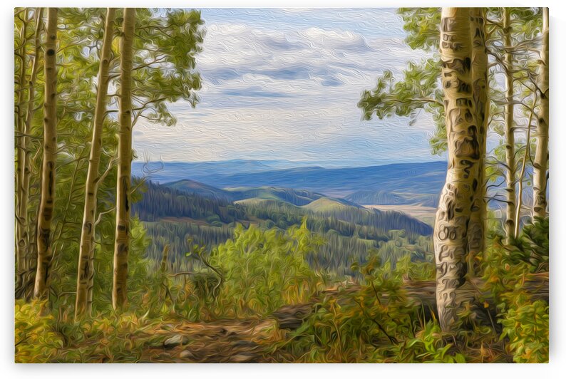 Portal to Peace by Stephen Taylor