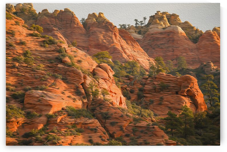 Daybreak in the Promised Land by Stephen Taylor