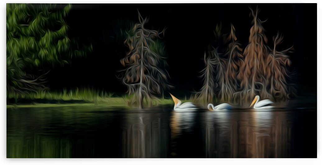 Lights in the Darkness by Stephen Taylor