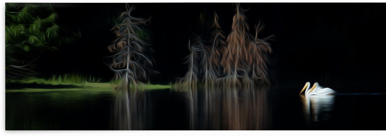 Serenity by Stephen Taylor