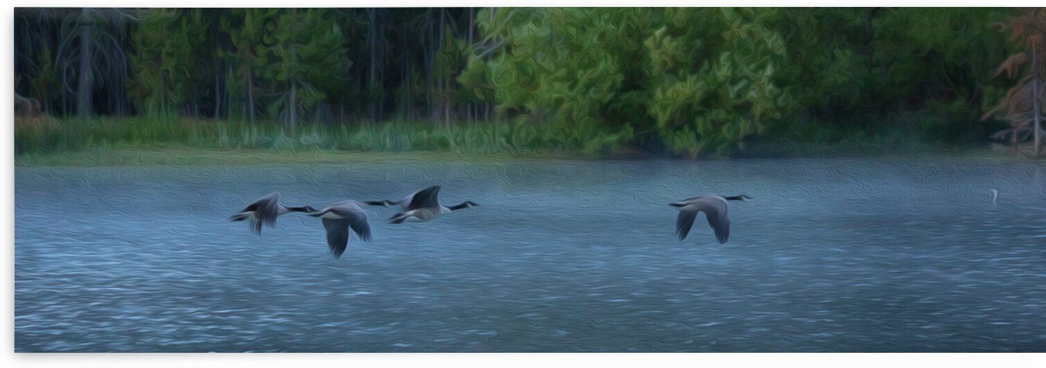 Follow the Leader by Stephen Taylor