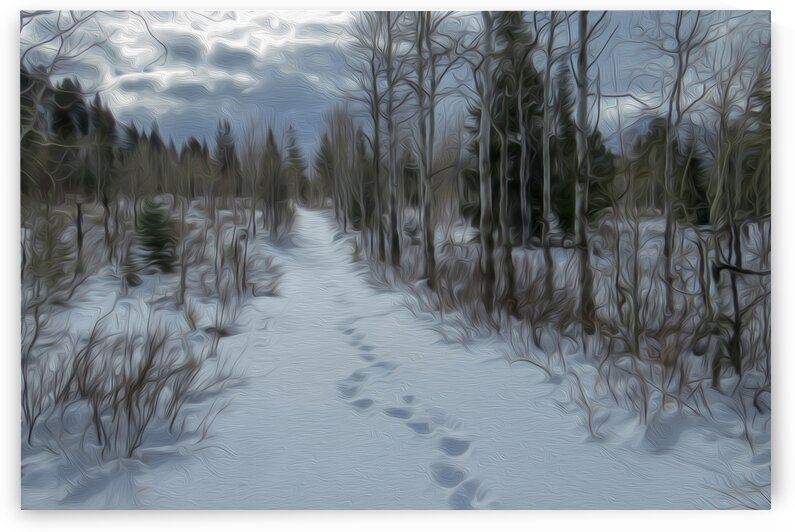 Fading Memories by Stephen Taylor