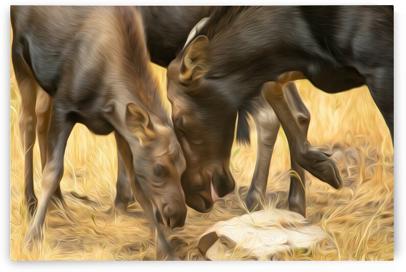 Natural Instinct by Stephen Taylor