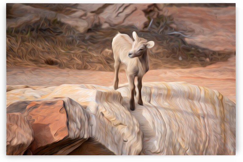 Test Your Limits by Stephen Taylor