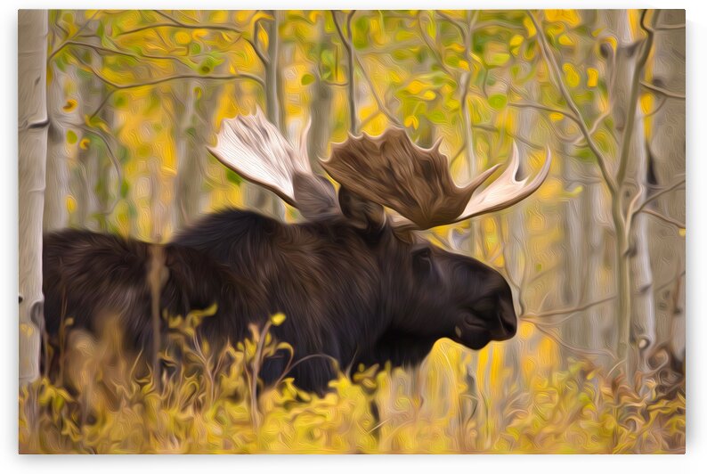 Finding Love  by Stephen Taylor