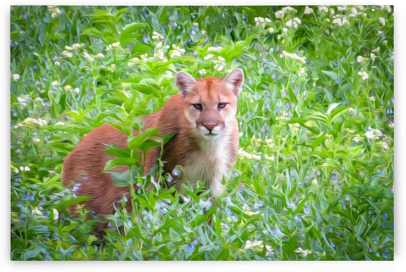The Standoff by Stephen Taylor