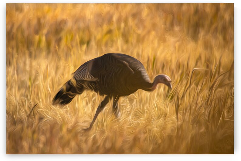 7I2A5431 by Stephen Taylor