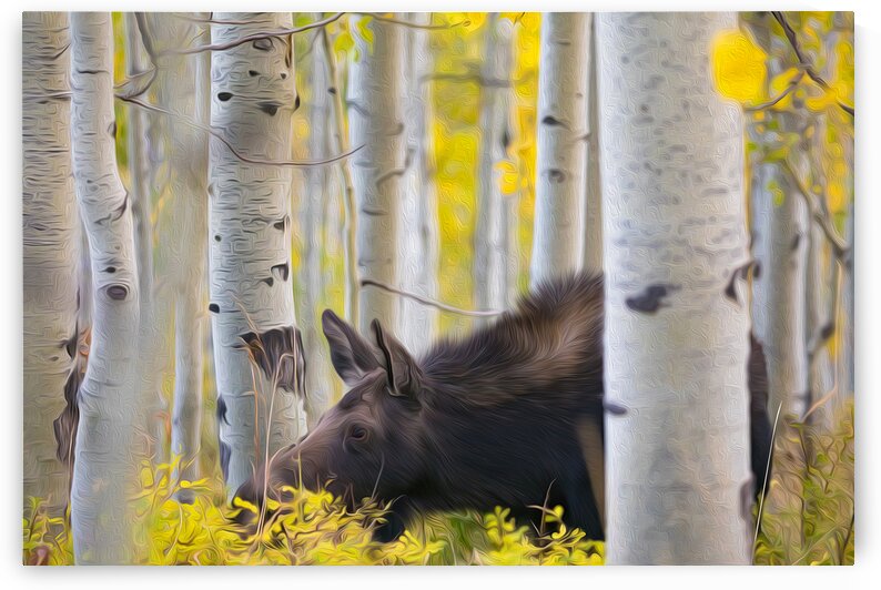 Finding Love 2 by Stephen Taylor