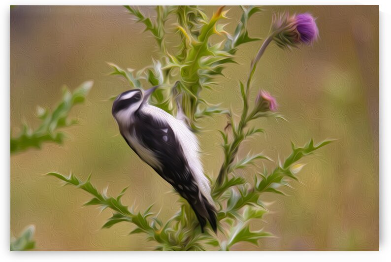 A Precarious Perch by Stephen Taylor
