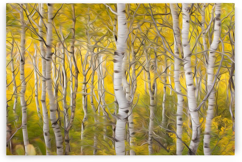 7I2A5693 by Stephen Taylor