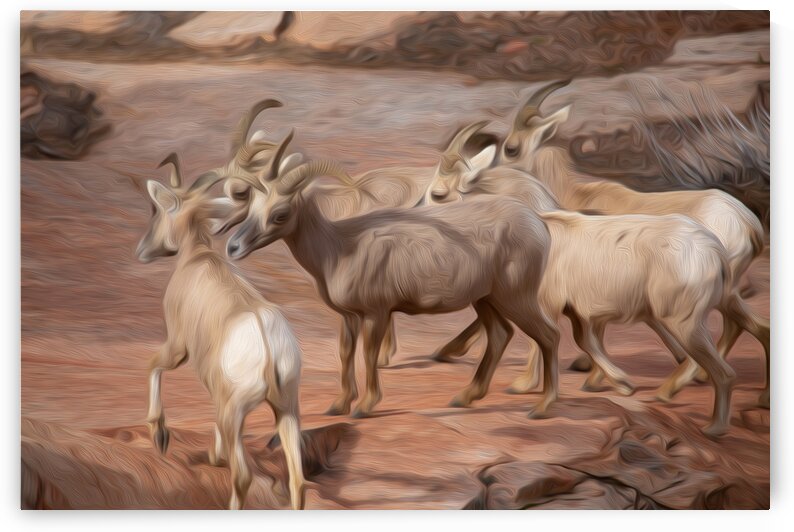 Time of Our Lives by Stephen Taylor