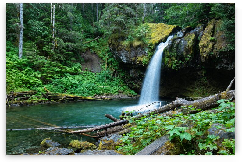 Her Cup Runneth Over by Stephen Taylor