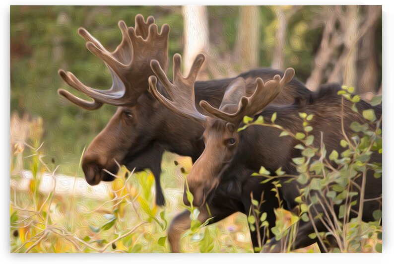 With You by Stephen Taylor