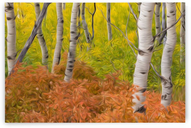 712A4586 by Stephen Taylor