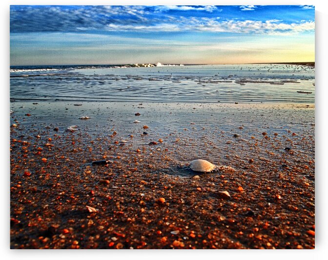 Pebble Beach at Fenwick Island Delaware by Bill Swartwout Photography