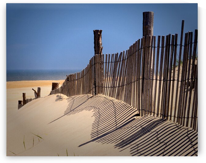 Fenwick Dune Fence and Shadows by Bill Swartwout Photography