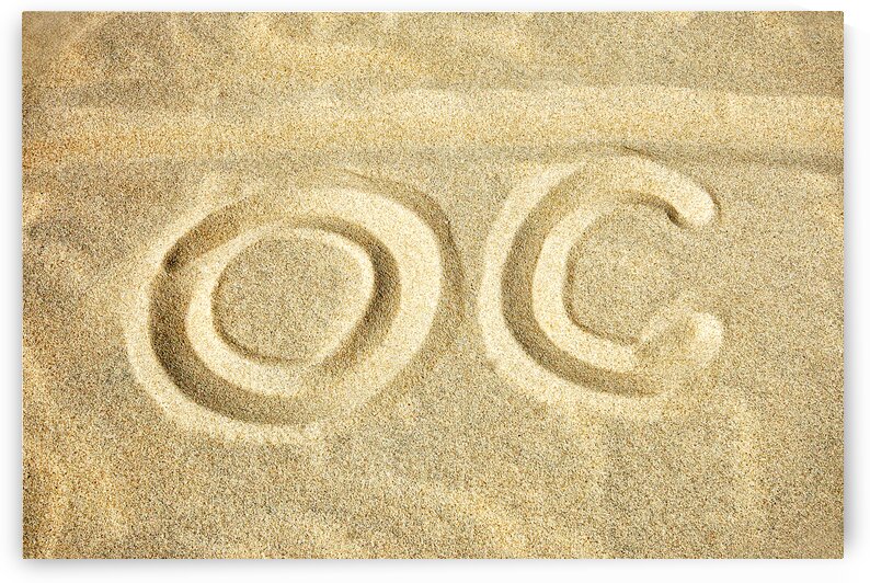 OC in the Sand at Ocean City Maryland by Bill Swartwout Photography