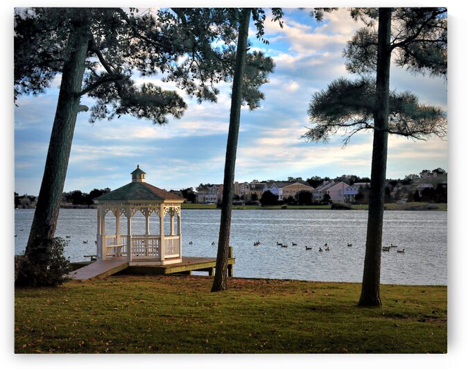 Silver Lake Serenity in Rehoboth Beach by Bill Swartwout Photography