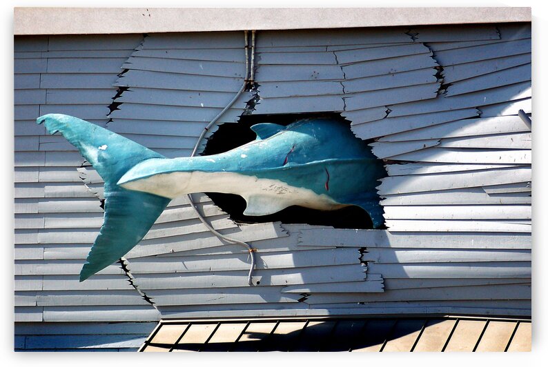 Shark Tail on the Ocean City Boardwalk by Bill Swartwout Photography