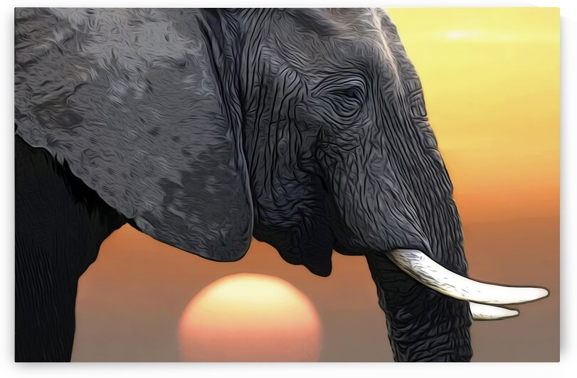 Elephant in front of Sunset by Adrian Brockwell