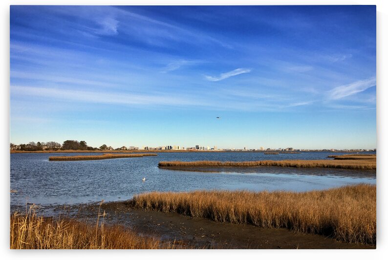 Ocean City Skyline from Assawoman Bay by Bill Swartwout Photography