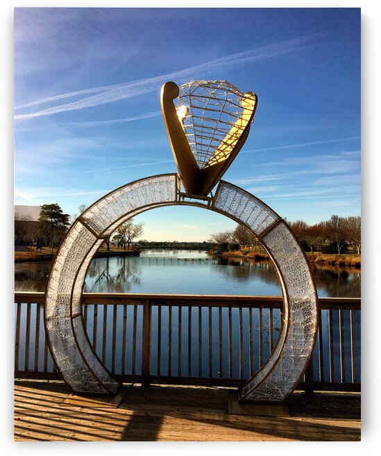 Will You Marry Me in Ocean City by Bill Swartwout Photography