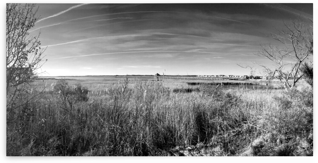 Ocean City Marsh and Pier Panorama in Black and White by Bill Swartwout Photography