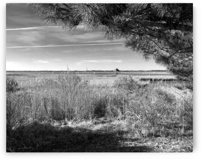Northside Park Pier and Marsh in Black and White by Bill Swartwout Photography