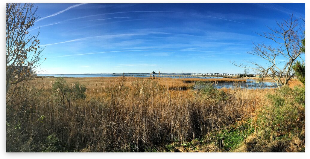 Ocean City Marsh and Pier Panorama by Bill Swartwout Photography