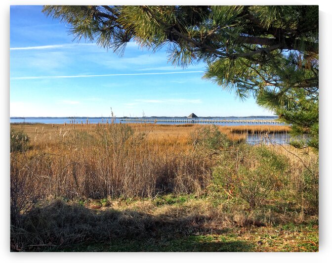 Northside Park Pier and Marsh in Ocean City by Bill Swartwout Photography