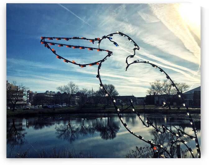 Ocean City Winterfest of Lights Pelican by Bill Swartwout Photography