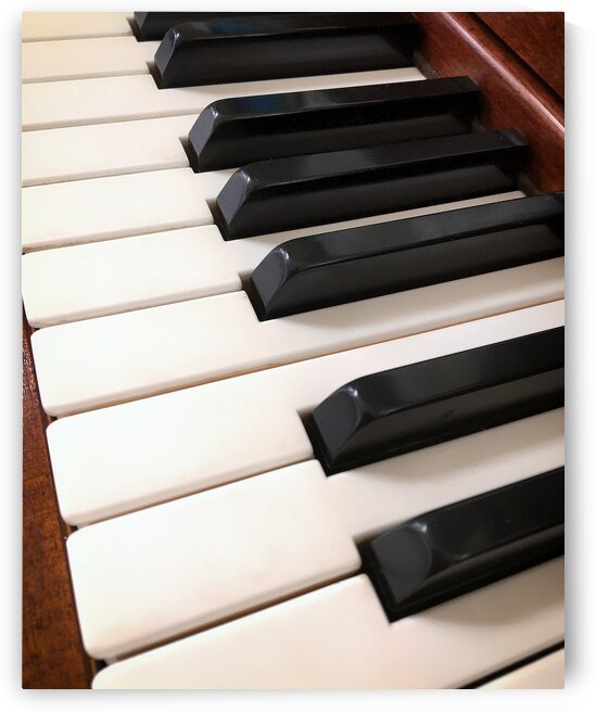 Piano Keys One Octave Plus by Bill Swartwout Photography