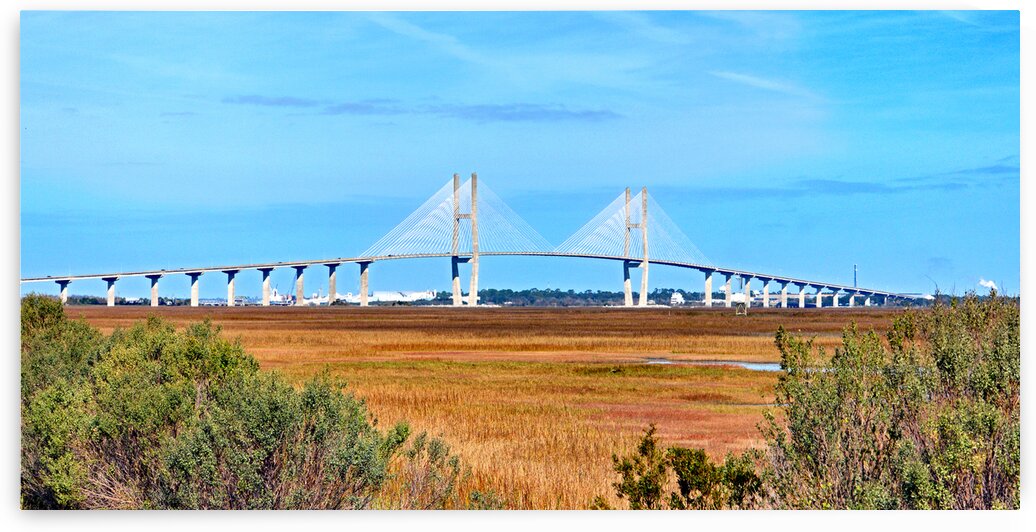 Sidney Lanier Bridge at Brunswick GA by Bill Swartwout Photography