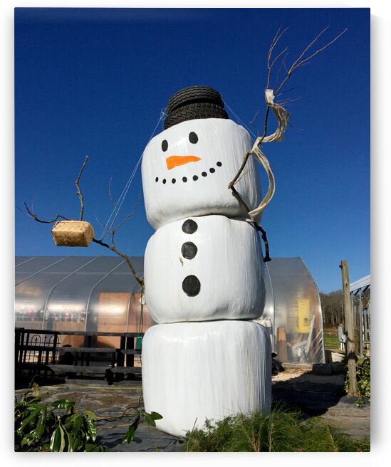 Hay Bale Snowman by Bill Swartwout Photography
