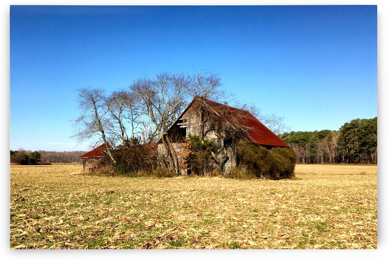 Abandoned Farmhouse Route 54 by Bill Swartwout Photography