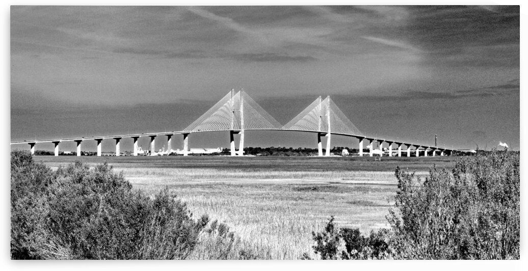 Sidney Lanier Bridge at Brunswick GA in Black and White by Bill Swartwout Photography