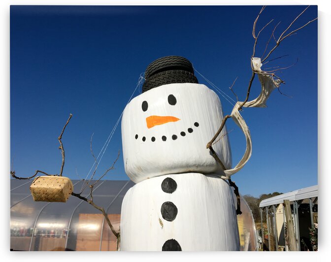Snowman Bales Horizontal by Bill Swartwout Photography