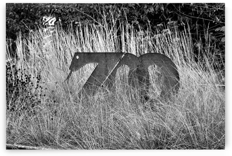 Zoo Sign Salisbury Black and White by Bill Swartwout Photography