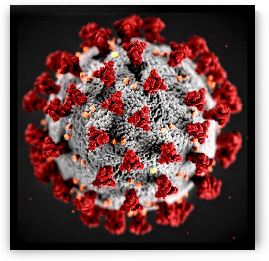 CDC Covid 19 Coronavirus Squared by Bill Swartwout Photography