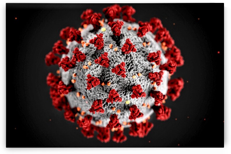 CDC Covid 19 Coronavirus by Bill Swartwout Photography
