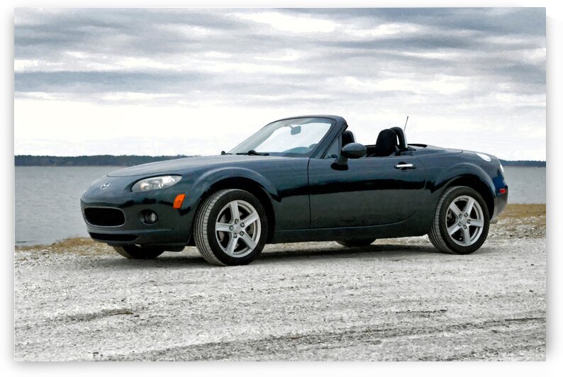 Miata Under the Brush at Assateague Island by Bill Swartwout Photography