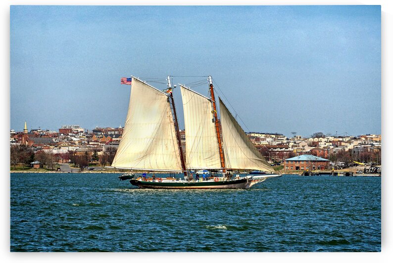 Pungy Schooner Lady Maryland Sailing in the Baltimore Harbor by Bill Swartwout Photography