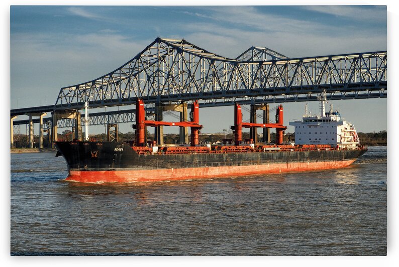 Ship Seas 1 Bulk Carrier 9589085 by Bill Swartwout Photography