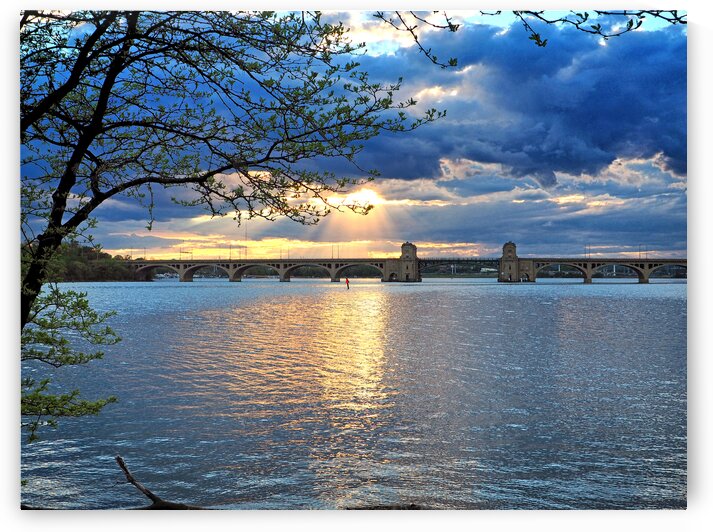 South Hanover Street Bridge Baltimore Maryland 4210154 by Bill Swartwout Photography